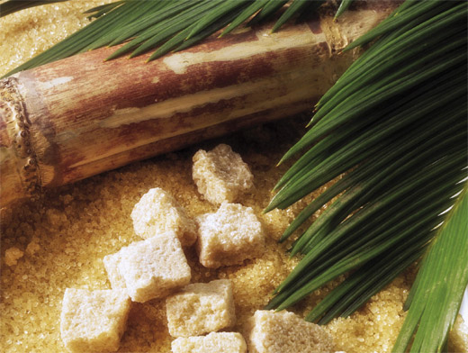 Бразилия сахарный тростник. Сахарный тростник в Бразилии. Кубинский тростниковый сахар. Бразильский тростниковый сахар. Сахарный тростник сахар.
