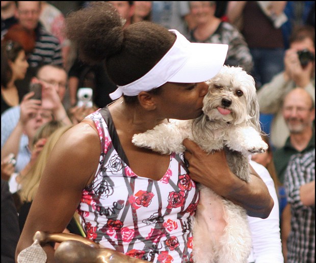 Кошки и собаки знаменитых спортсменов